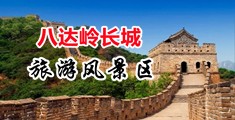 免费看av鸡吧中国北京-八达岭长城旅游风景区