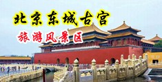 大鸡巴肏小美女在线看中国北京-东城古宫旅游风景区